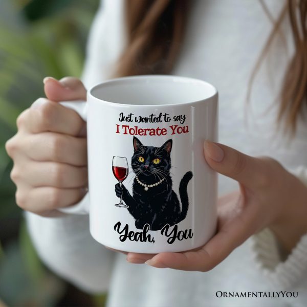 Just Wanted to Say I Tolerate You Personalized Mug, Funny Sarcastic Black Cat Lover Gift With Custom Name Just Wanted to Say I Tolerate You Personalized Mug, Funny Sarcastic Black Cat Lover Gift With Custom Name
