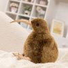 Kiwi Bird Plush Toy Soft Stuffed Animal Pillow for Home Decor Kiwi Bird Plush Toy Soft Stuffed Animal Pillow for Home Decor