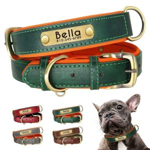 Leather ID Dog Collar
