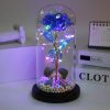 LED Enchanted Galaxy Rose in Glass Dome with Fairy Lights for Valentine’s Day and Christmas