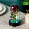 LED Eternal Rose in Glass Dome – Romantic Gift for Home LED Eternal Rose in Glass Dome – Romantic Gift for Home