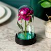 LED Eternal Rose in Glass Dome – Romantic Gift for Home LED Eternal Rose in Glass Dome – Romantic Gift for Home