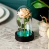 LED Eternal Rose in Glass Dome – Romantic Gift for Home LED Eternal Rose in Glass Dome – Romantic Gift for Home