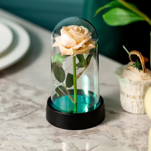 LED Eternal Rose in Glass Dome – Romantic Gift for Home LED Eternal Rose in Glass Dome – Romantic Gift for Home