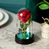 LED Eternal Rose in Glass Dome – Romantic Gift for Home LED Eternal Rose in Glass Dome – Romantic Gift for Home