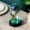LED Eternal Rose in Glass Dome – Romantic Gift for Home LED Eternal Rose in Glass Dome – Romantic Gift for Home