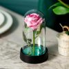 LED Eternal Rose in Glass Dome – Romantic Gift for Home LED Eternal Rose in Glass Dome – Romantic Gift for Home