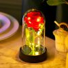 LED Eternal Rose in Glass Dome – Romantic Gift for Home LED Eternal Rose in Glass Dome – Romantic Gift for Home