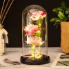 LED Galaxy Three Rose Glass Dome Ornament LED Galaxy Three Rose Glass Dome Ornament