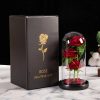 LED Galaxy Three Rose Glass Dome Ornament LED Galaxy Three Rose Glass Dome Ornament