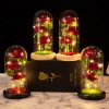Light Up Rose Glass Dome Ornament