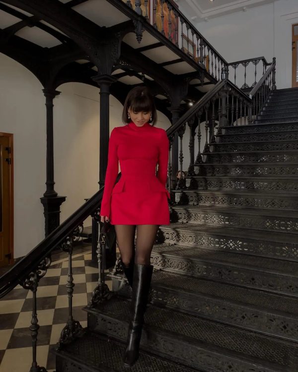 Long Sleeve High Neck Mini Dress Long Sleeve High Neck Mini Dress