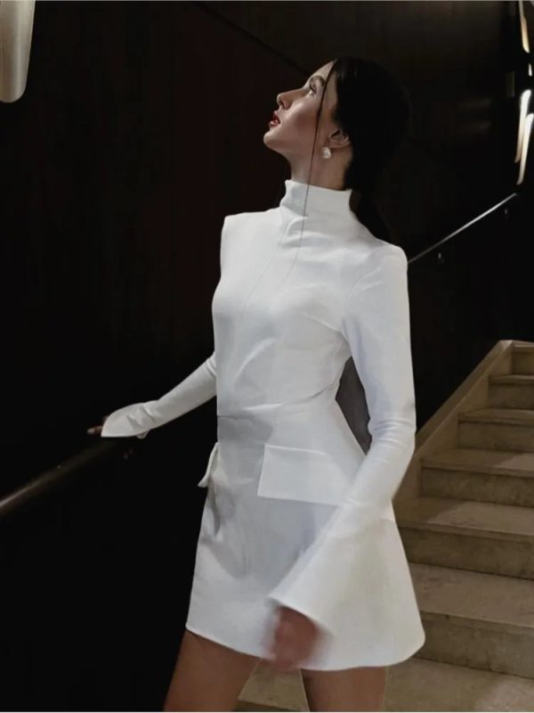 Long Sleeve High Neck Mini Dress Long Sleeve High Neck Mini Dress