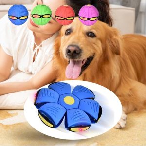 Magic Flying Saucer Dog Ball