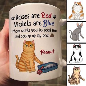 Mom Wants You To Feed And Scoop Up Poo Angry Cats Personalized Mug