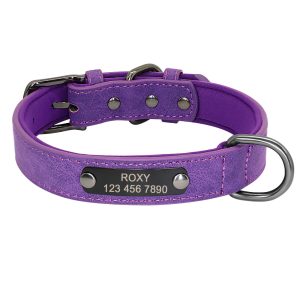 Personalized Engraved Pet Collar