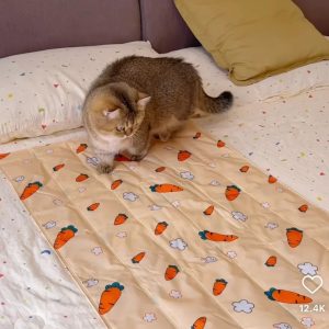 Pet Summer Ice Bed Pet Summer Ice Bed