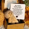 Pocket Worry Bear Plush with Encouragement Card Gift Box