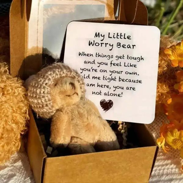 Pocket Worry Bear Plush with Encouragement Card Gift Box