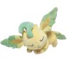 Pokemon Character Plush Toy Soft Stuffed Animal 20cm