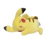Pokemon Character Plush Toy Soft Stuffed Animal 20cm