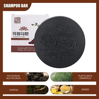 Polygonum Hair Growth Shampoo Bar Polygonum Hair Growth Shampoo Bar