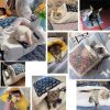 Portable Cat Bed Portable Cat Bed