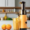 Portable Multi-Function Juicer