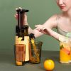 Portable Multi-Function Juicer