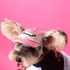 Pullover Dog Sweatshirt With Zipper Pouch