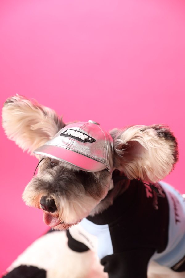 Pullover Dog Sweatshirt With Zipper Pouch