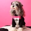 Pullover Dog Sweatshirt With Zipper Pouch