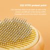 Pumpkin Pet Brush