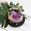 Purple Soap Rose In Glass Dome With Led Light Purple Soap Rose In Glass Dome With Led Light