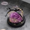 Purple Soap Rose In Glass Dome With Led Light Purple Soap Rose In Glass Dome With Led Light