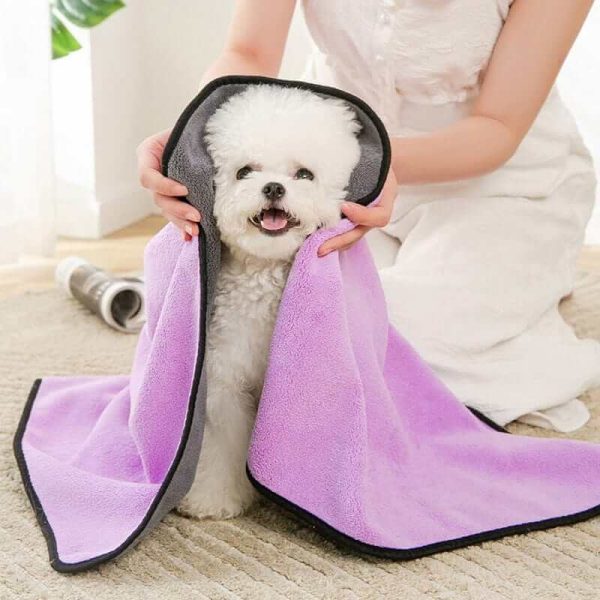 Quick Dry Towel for Dog