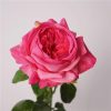 Real Touch Austin Latex Rose Bouquet Set of 5 Real Touch Austin Latex Rose Bouquet Set of 5