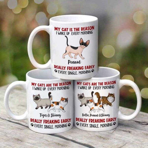 Reason I Wake Up Early Walking Fluffy Cats Personalized Mug Reason I Wake Up Early Walking Fluffy Cats Personalized Mug
