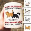 Reason I Wake Up Early Walking Fluffy Cats Personalized Mug Reason I Wake Up Early Walking Fluffy Cats Personalized Mug