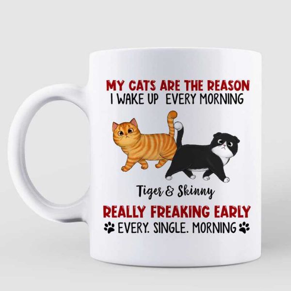 Reason I Wake Up Early Walking Fluffy Cats Personalized Mug Reason I Wake Up Early Walking Fluffy Cats Personalized Mug