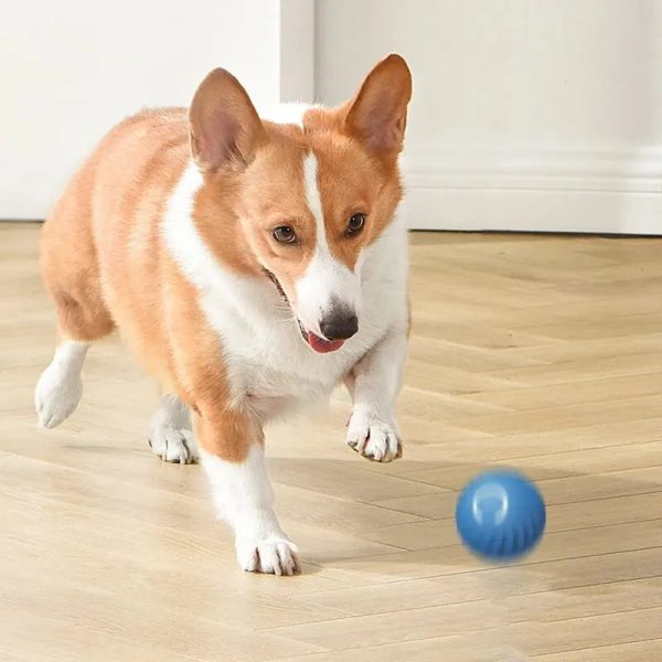 Rechargeable Intelligent Gravity Jump Ball for Dog Pets