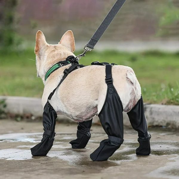 Reinforced Anti-Slip Dog Shoes