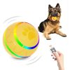 Remote Control Dog Ball - Interactive Toy for Dogs