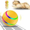 Remote Control Dog Ball - Interactive Toy for Dogs