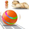 Remote Control Dog Ball - Interactive Toy for Dogs