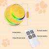 Remote Control Dog Ball - Interactive Toy for Dogs