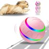 Remote Control Dog Ball - Interactive Toy for Dogs
