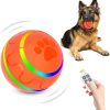 Remote Control Dog Ball - Interactive Toy for Dogs