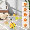 Remote Control Dog Ball - Interactive Toy for Dogs