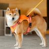 Retractable Dog Leash With No-Pull Harness